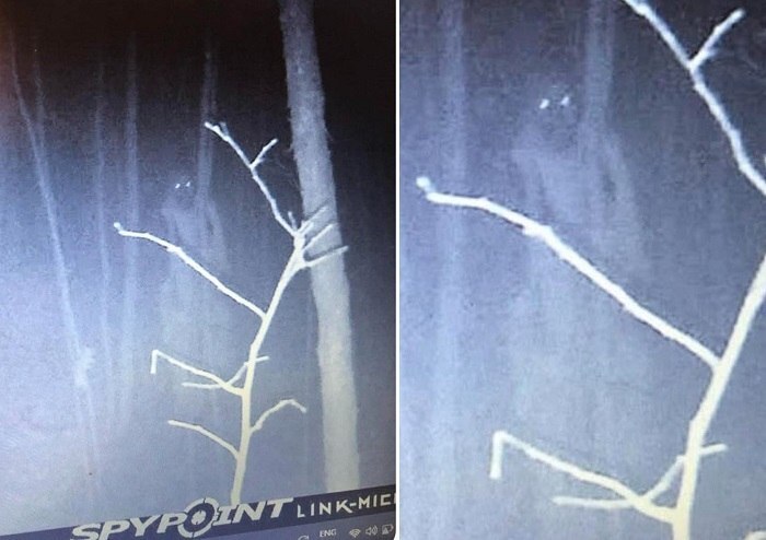 Жуткая фигура в лесу, снятая на камеру