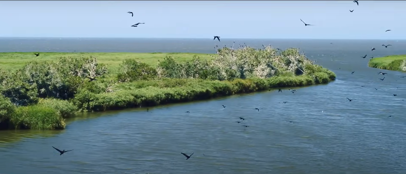 Мой источник вдохновения- природа!