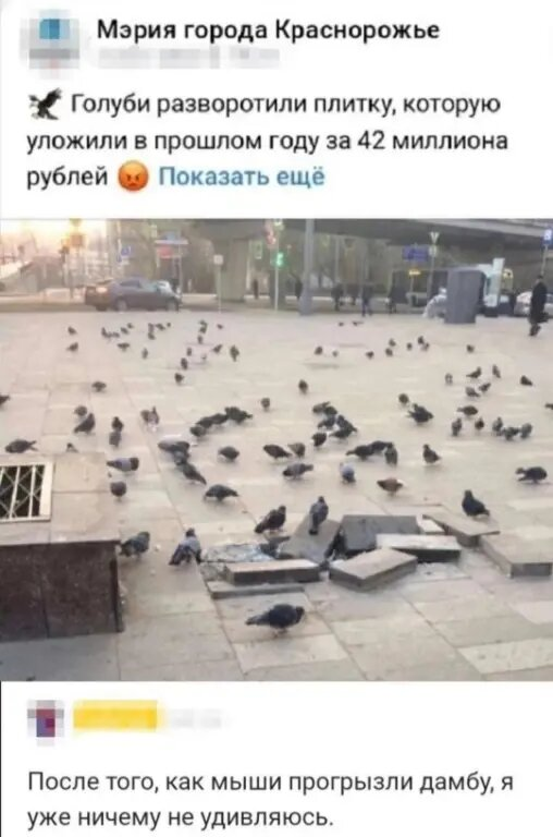 Большая претензия к тем кто , делал высказывания о смене правительства . Уверяя нас что Путин во имя развития страны , будет сменять министров .