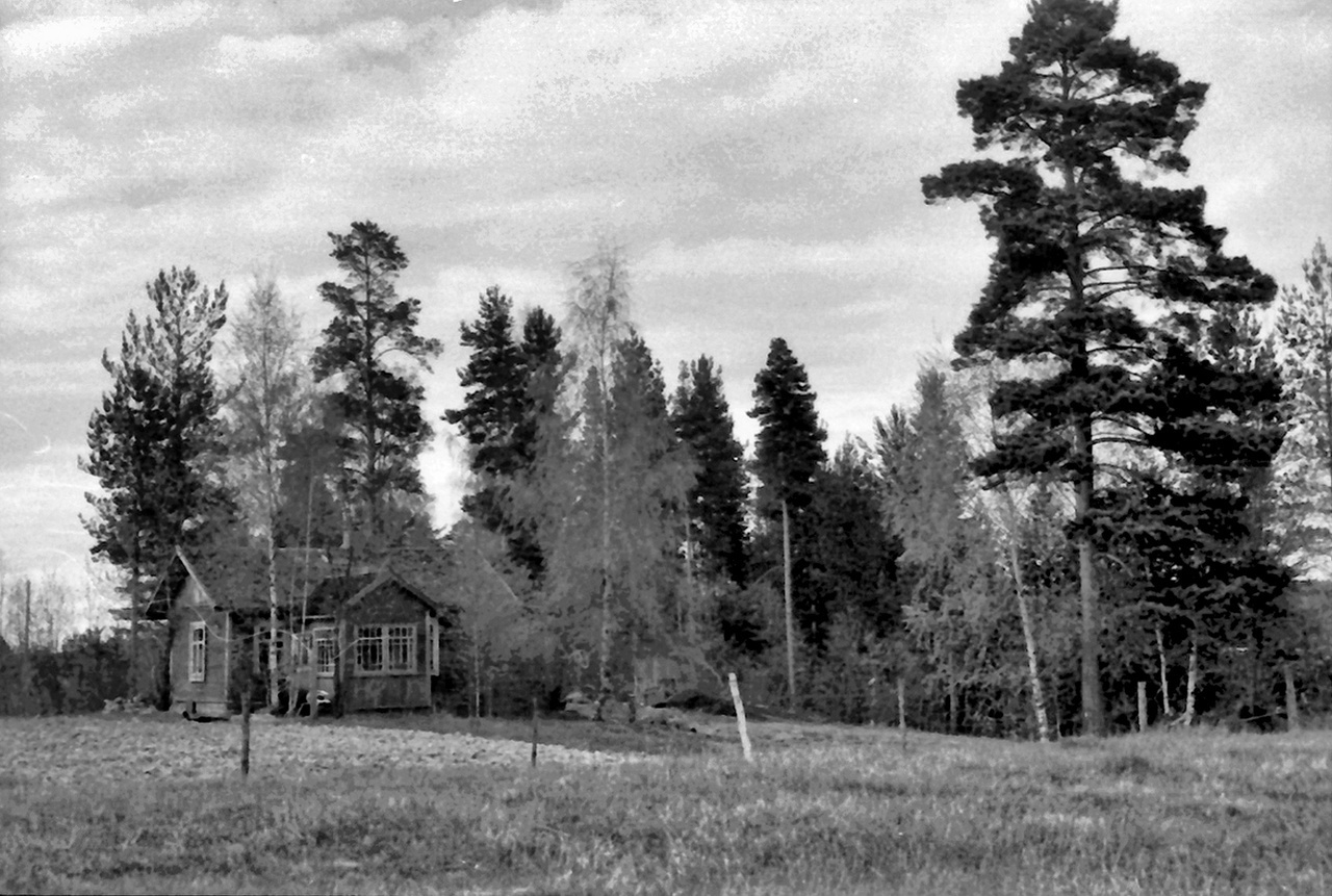 Демографическая ретроспектива (Куценькая, но такая, какая есть)