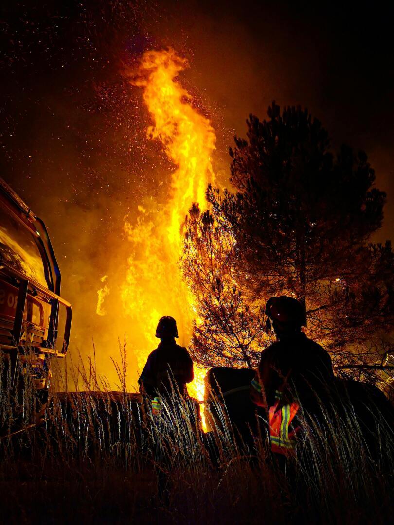 58 пожарных расчетов и восемь самолетов: возле Эйн-Накобы вспыхнул лесной пожар