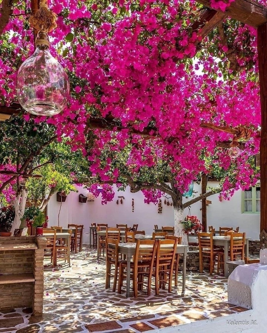 История о любви которая произошла на острове.