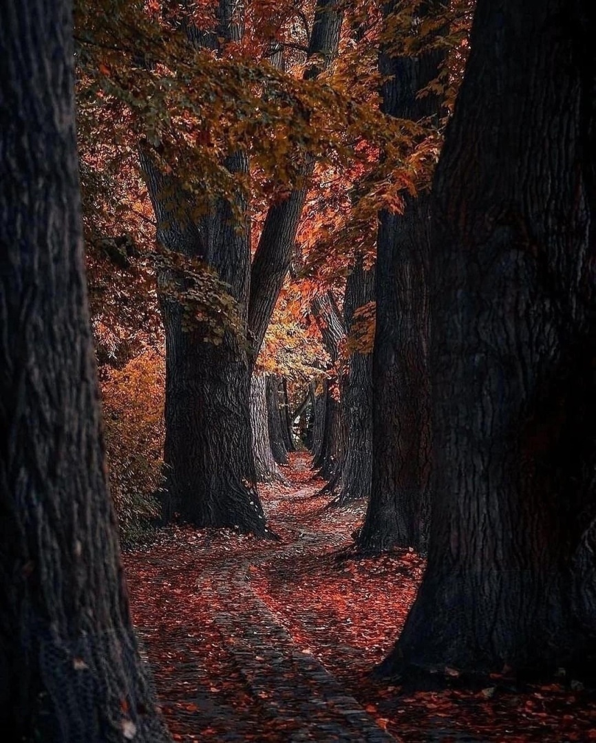 Сегодня путешествуем по Германии!