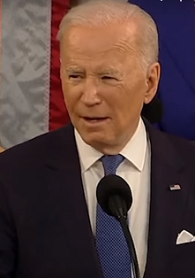 Байден выведет 1000 американских солдат из Нигера, когда российские войска захватят базу