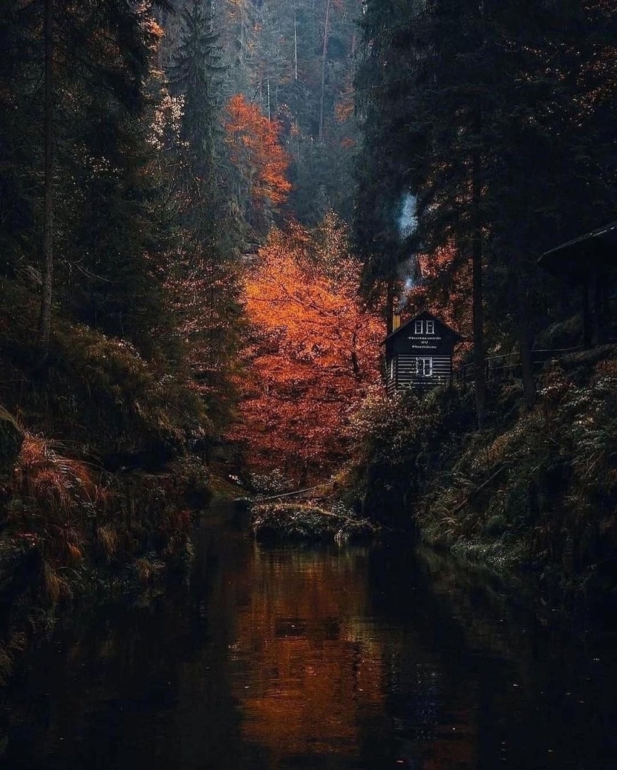 Сегодня путешествуем по Германии!