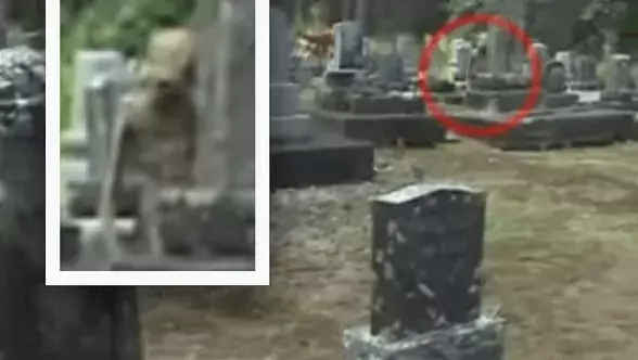 Инопланетянин попал на видео на кладбище