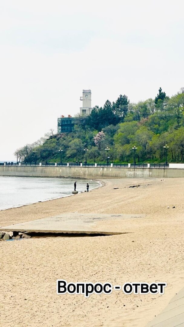 Алименты взимают не со всех начислений. Почему?