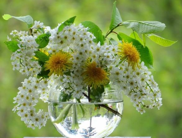 Шаг вперёд - к благодати