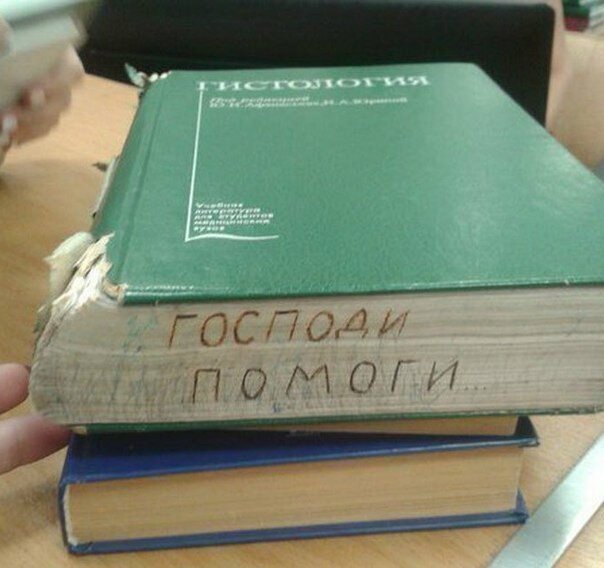 😂 Студенческий юмор, основанный на реальных событиях: смеяться разрешается ❗
