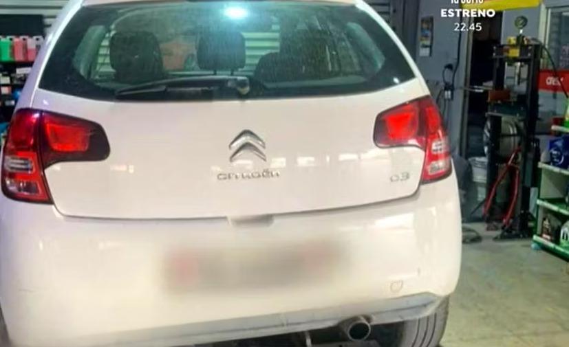 17-летняя швейцарская девочка, пропавшая много лет назад, дикий подросток, выросший в лесу