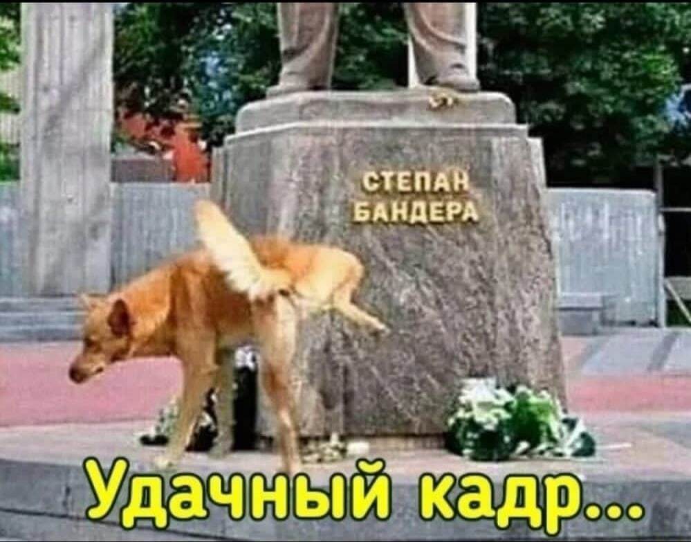 Немного Юмора в Понедельник. Тема - Украина