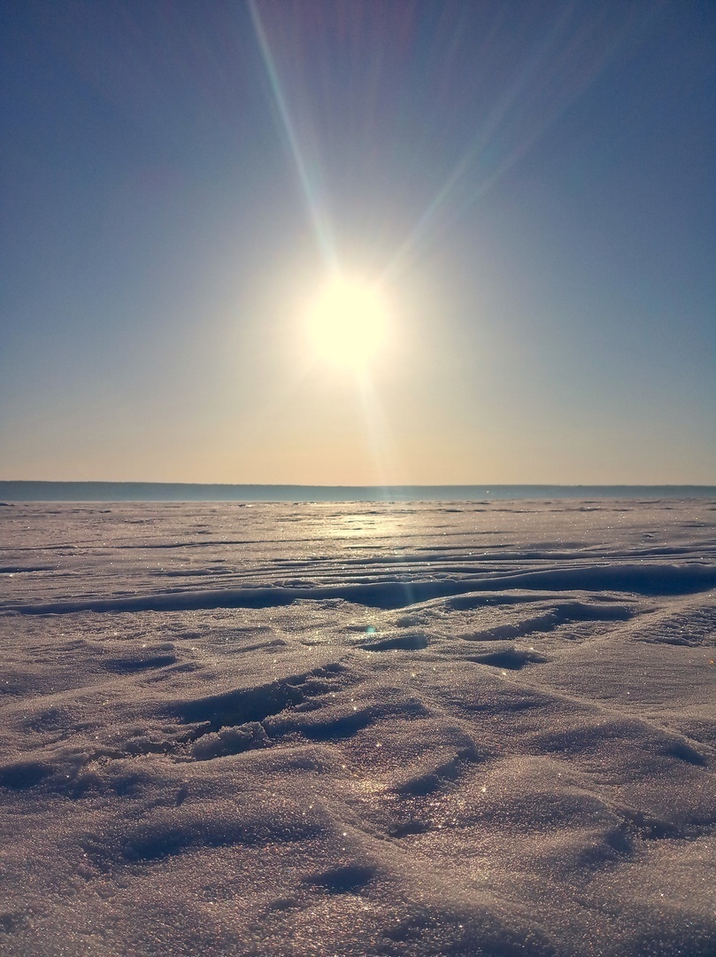 А у наших краях охота на сморчков, хоть и тихая, но такая опасная…