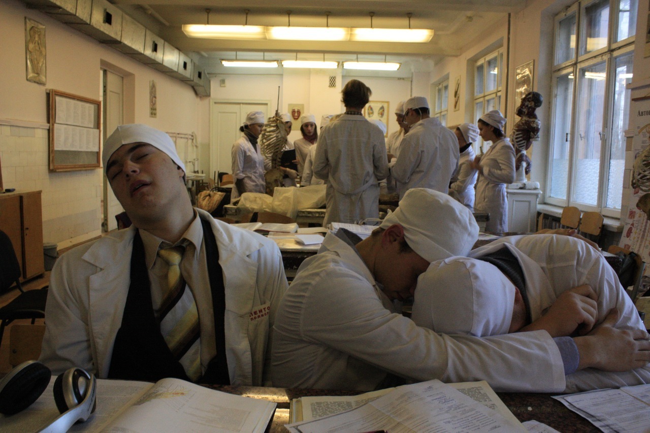 😂 Студенческий юмор, основанный на реальных событиях: смеяться разрешается ❗