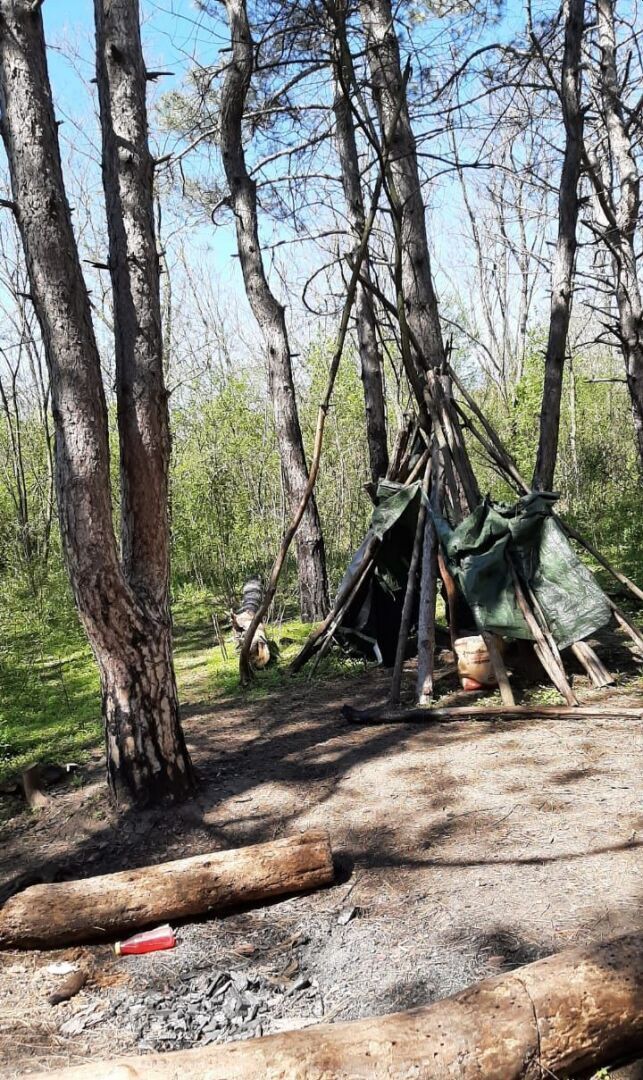 Щепкинский лес в окрестностях Ростова-на-Дону, который в выходные дни посещают сотни горожан для единения с природой (моя прогулка)