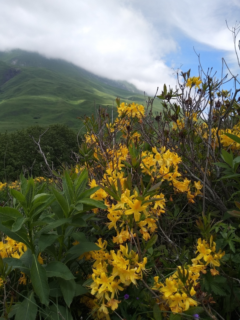 Как мы побывали в Кармадонском ущелье Северного Кавказа – последнем пристанище киногруппы Сергея Бодрова
