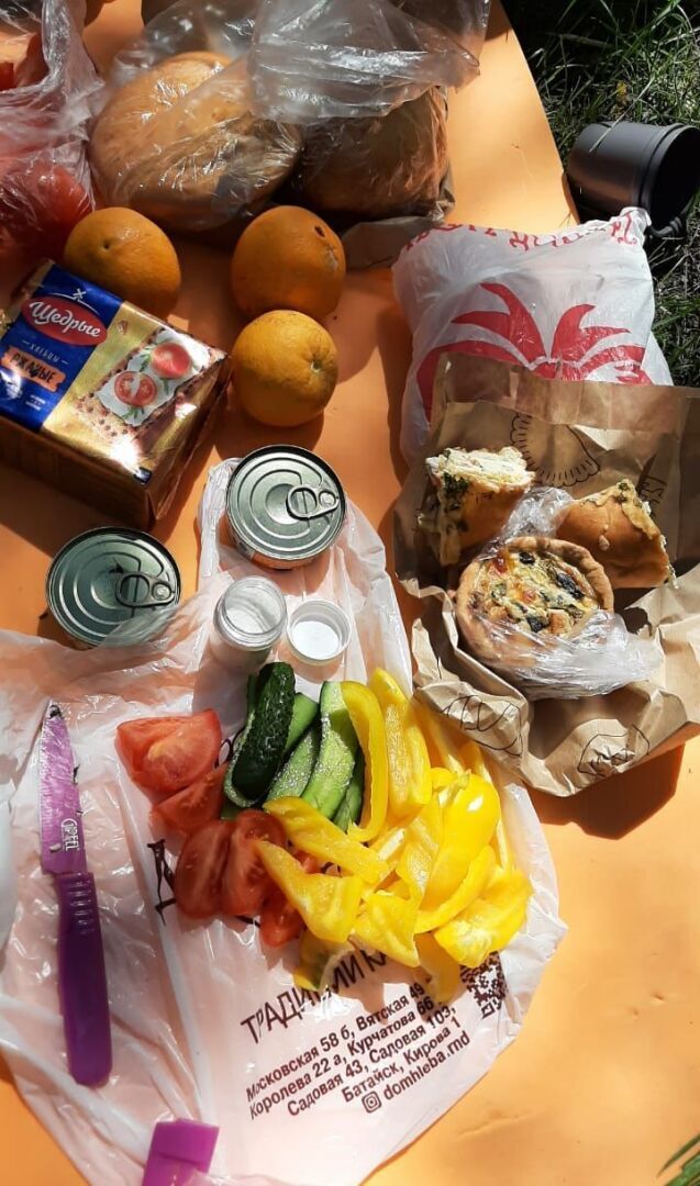 Щепкинский лес в окрестностях Ростова-на-Дону, который в выходные дни посещают сотни горожан для единения с природой (моя прогулка)