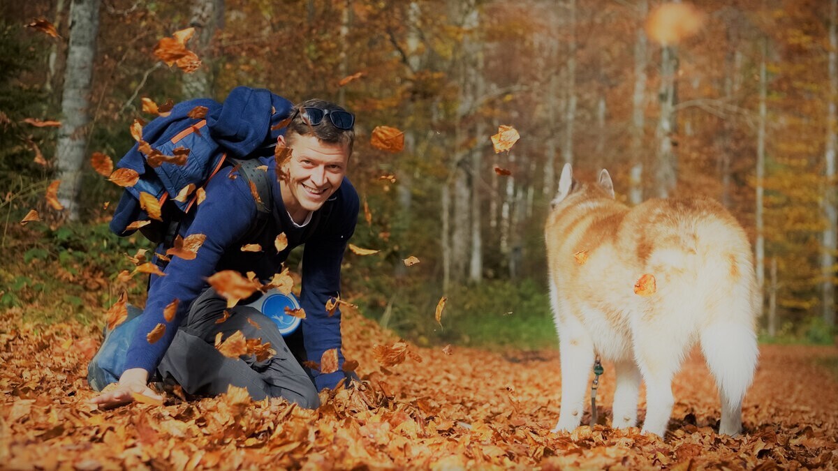 Понимание ассоциативной памяти собак