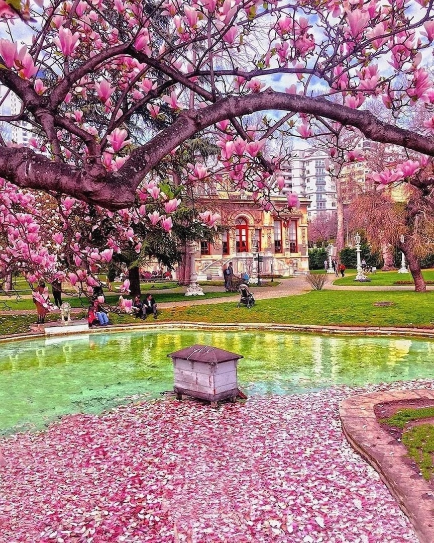 Сегодня про Стамбул.