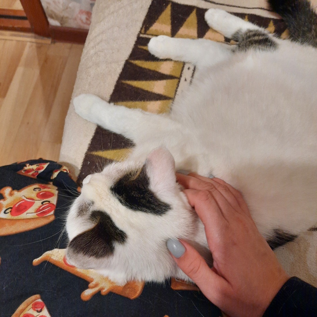 Рубрика "вопрос-ответ". Или еще одно мое небольшое знакомство с читателями.