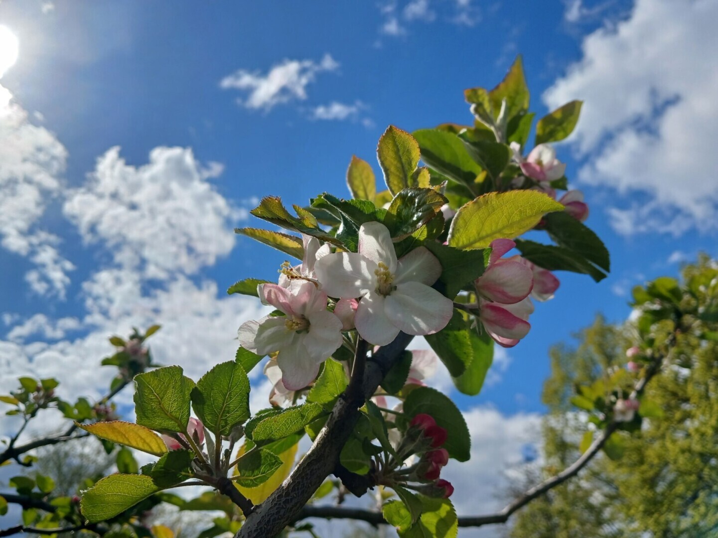 "Было ваше, стало наше". Масштабная выставка на Поклонной горе
