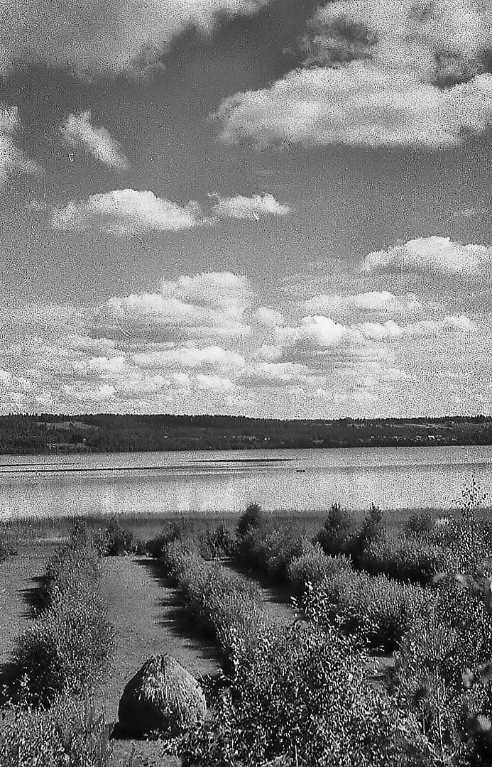 "Отчаяние." / (оригинальный заголовок)