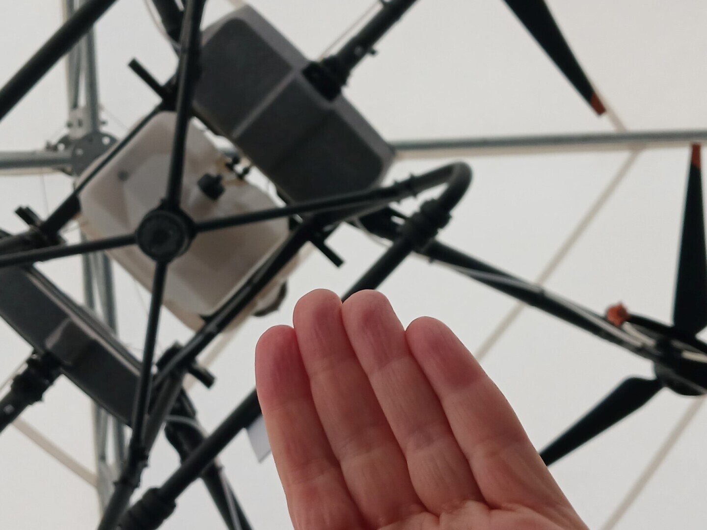 "Было ваше, стало наше". Масштабная выставка на Поклонной горе