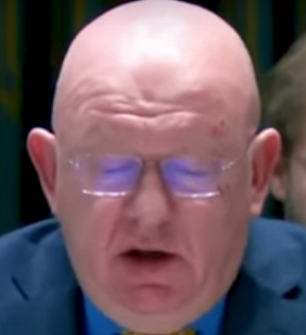 Посол России в ООН раскритиковал Запад по поводу ударов по хуситам в Йемене. США обвиняют эту страну