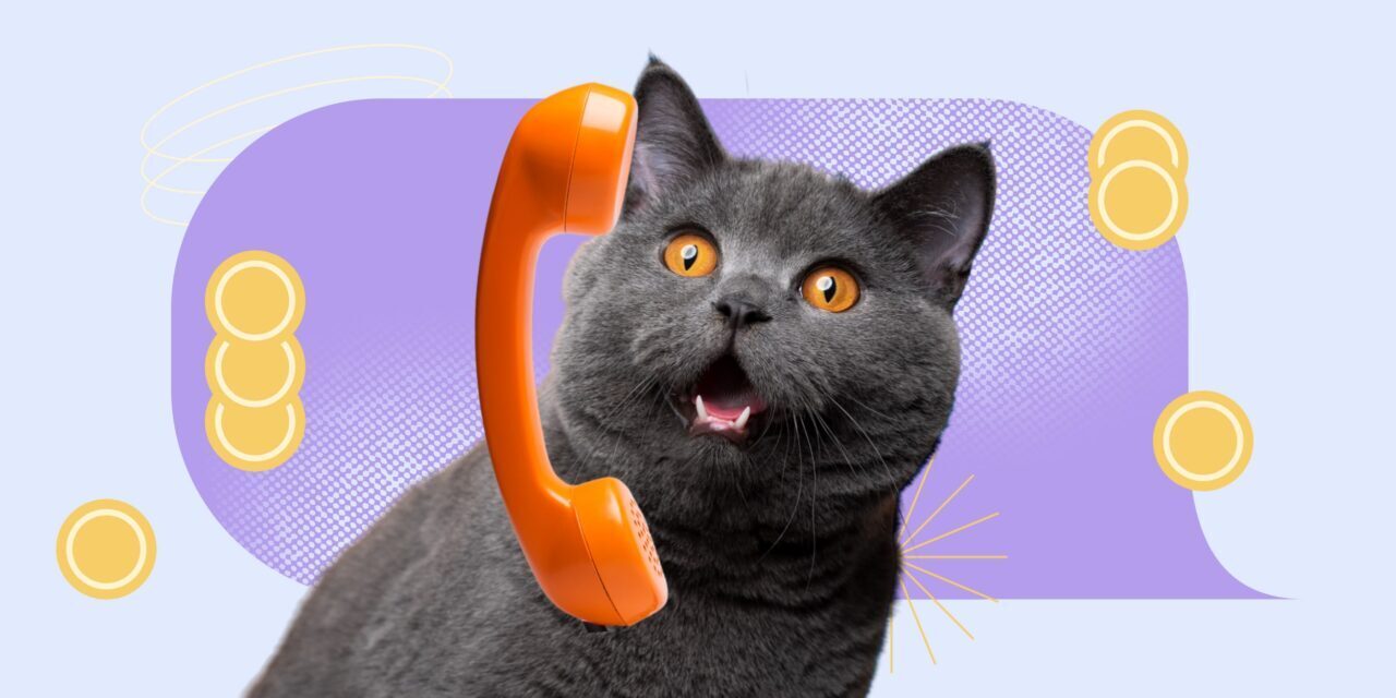 Как себя вести, если звонит мошенник: инструкция для всех, у кого есть телефон