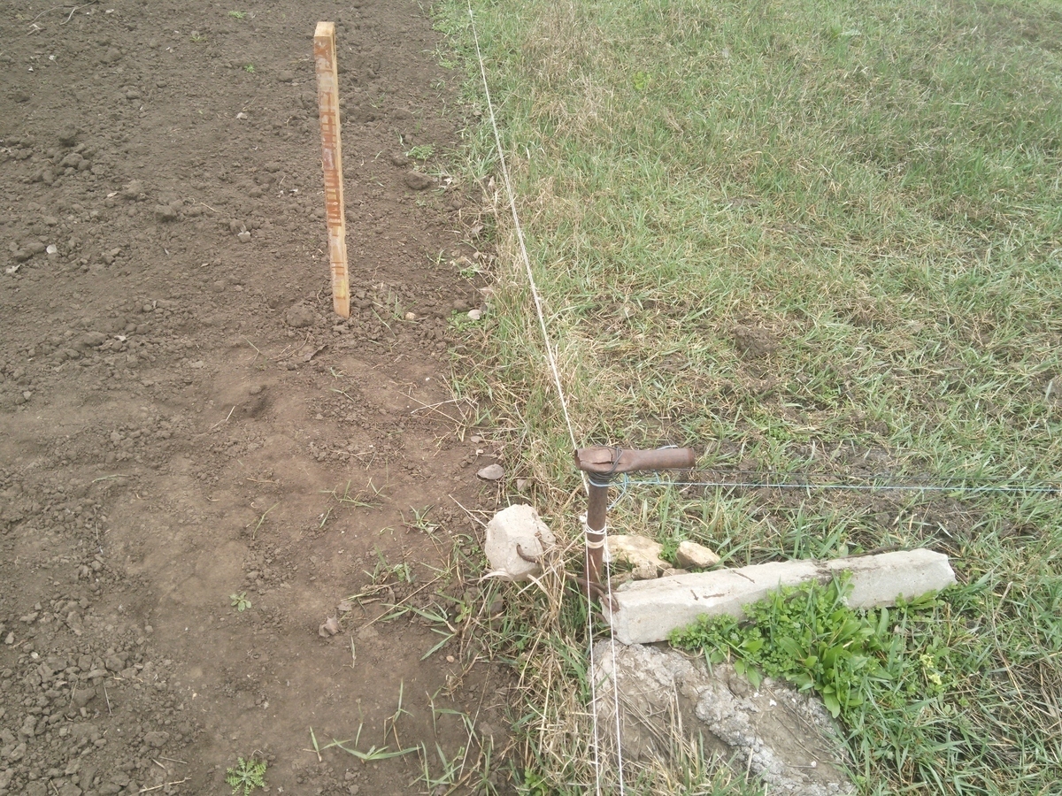 Если колышек на границе земельного участка стоит более 40 лет, а новый сосед вбил рядом новый, то это все можно защитить от нового соседа?