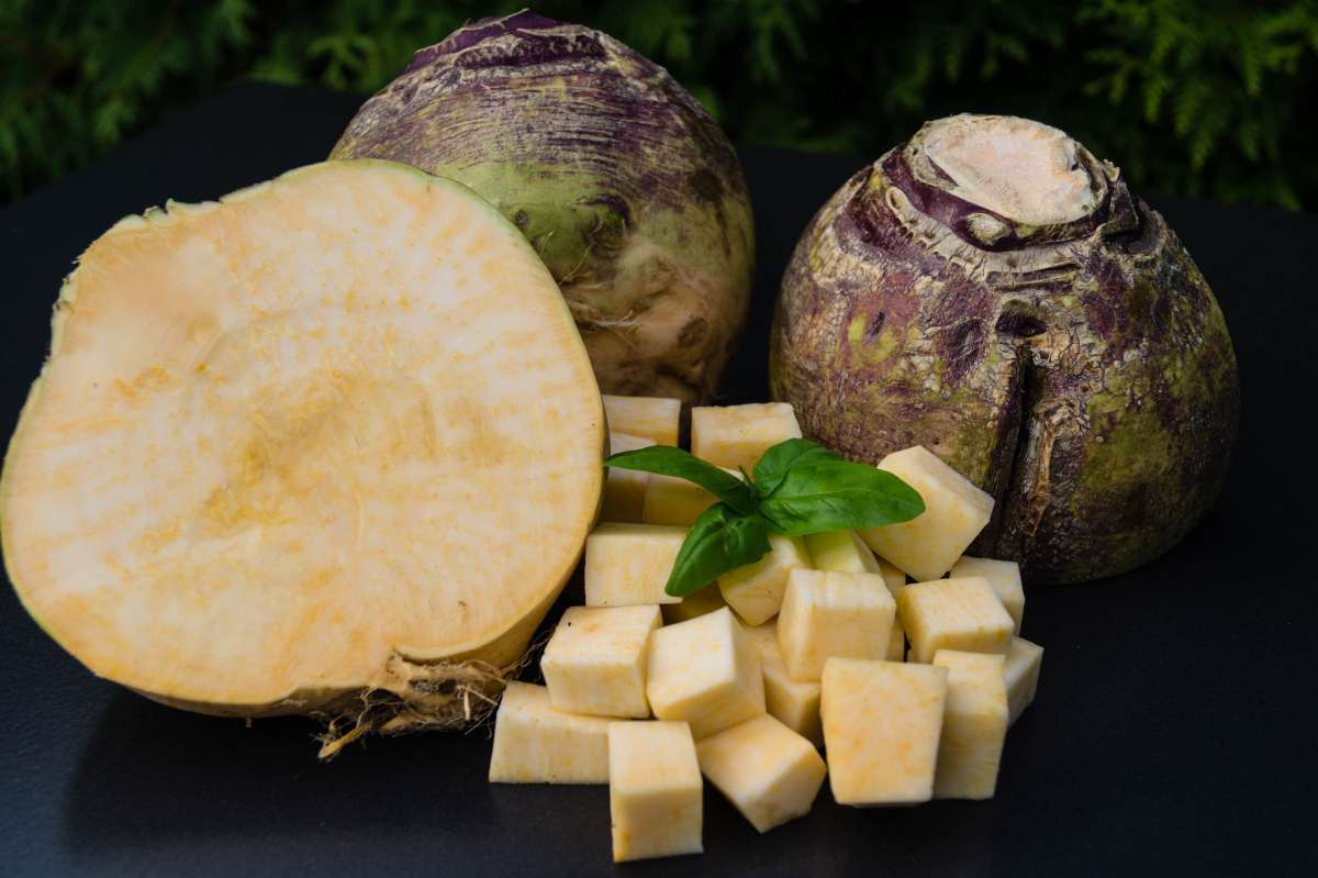 У него слишком долго была плохая репутация! Но ... он должен быть в каждом саду.