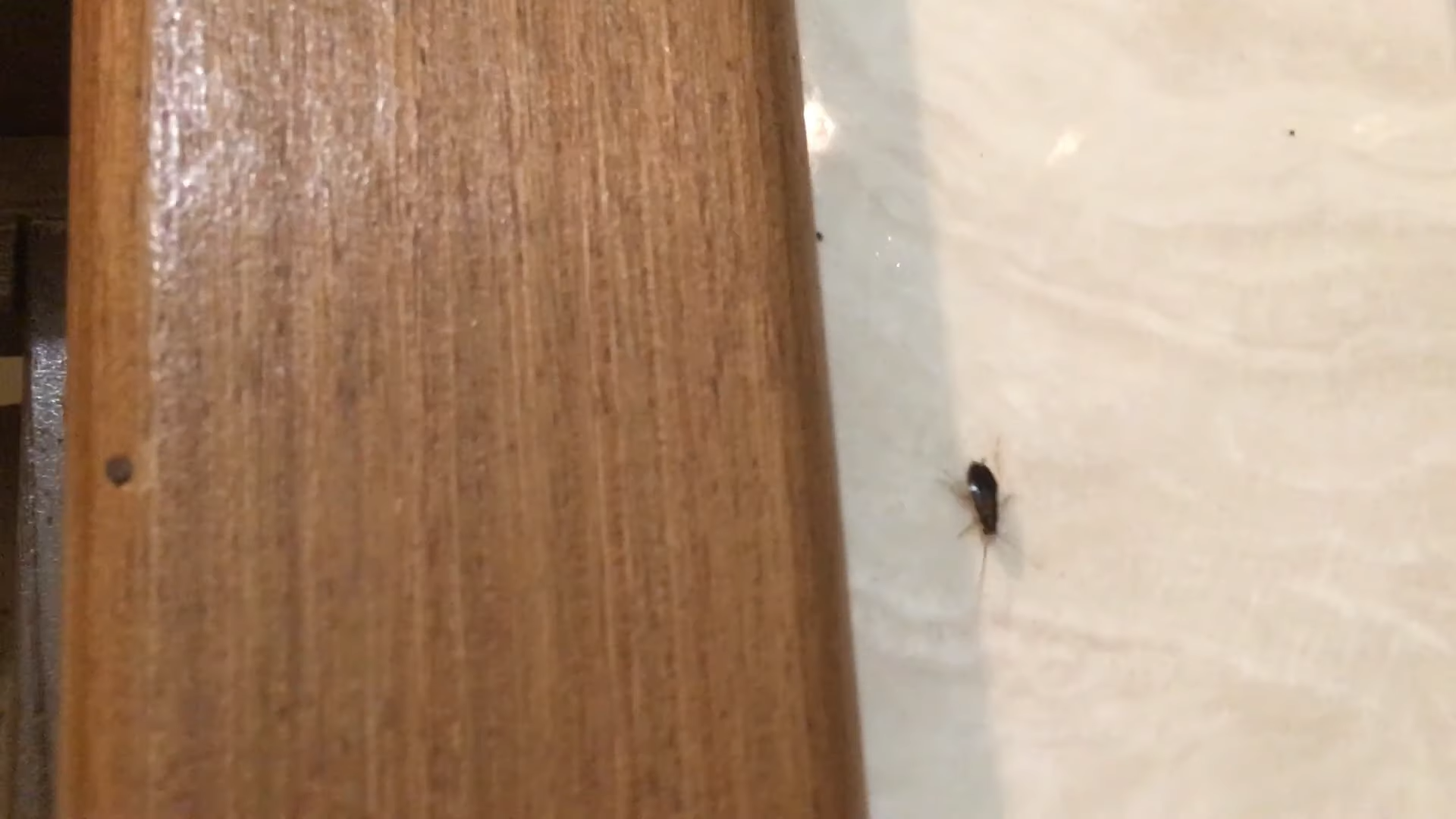 ✅Заметки одинокого путника: моя поездка в Казань