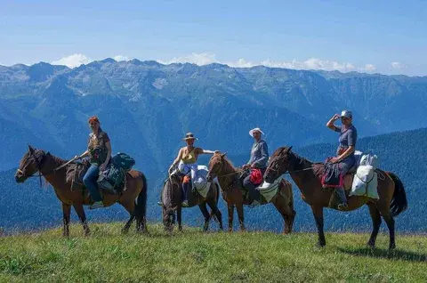 Конный туризм и прогулки: преимущества и особенности.