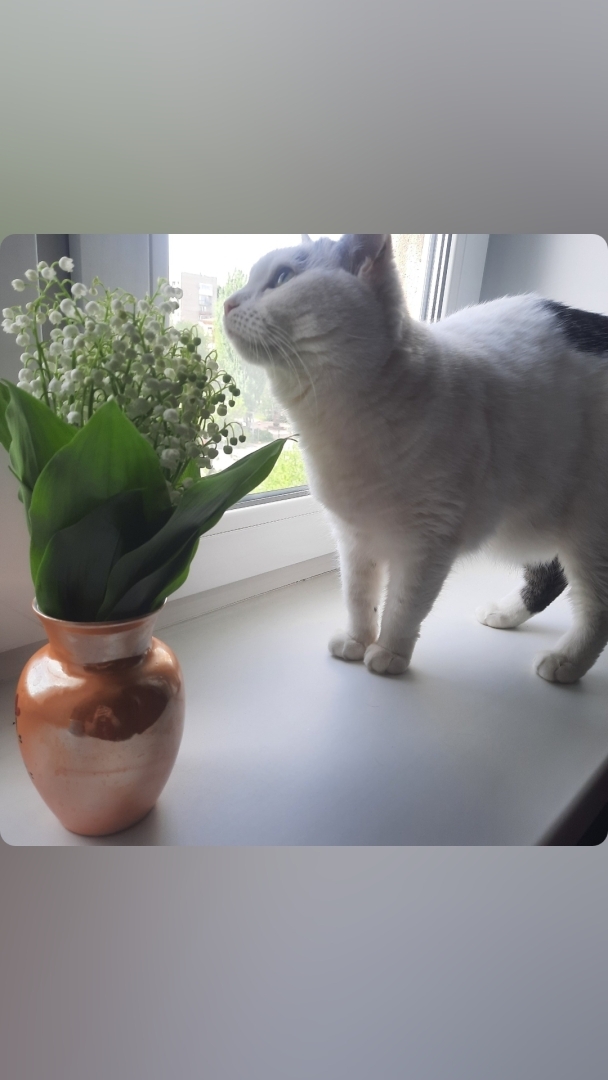 Холодный май. Или мои выходные и праздники.