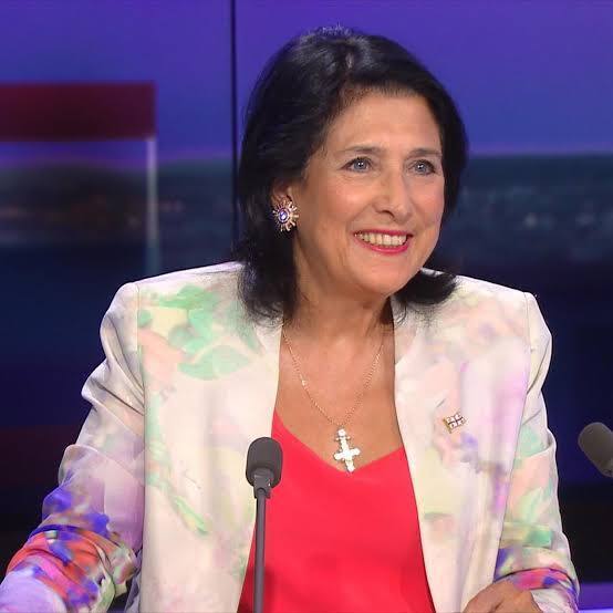 Что представляет собой грузинский законопроект об «иностранных агентах» и почему так встревожена Европа?