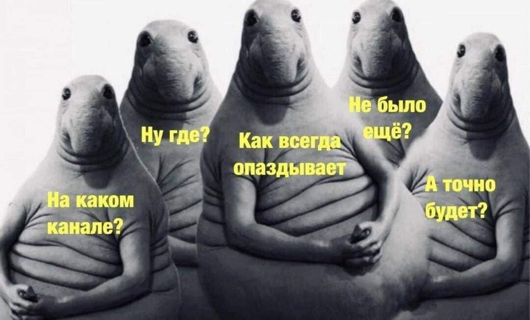 Категории неудовлетворённых Путинизмом