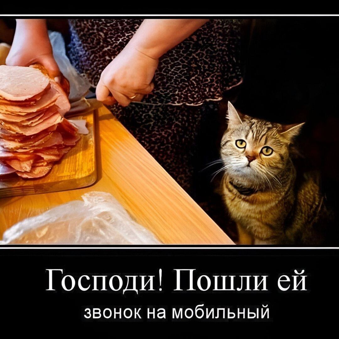 Весёлые картинки (часть 50)