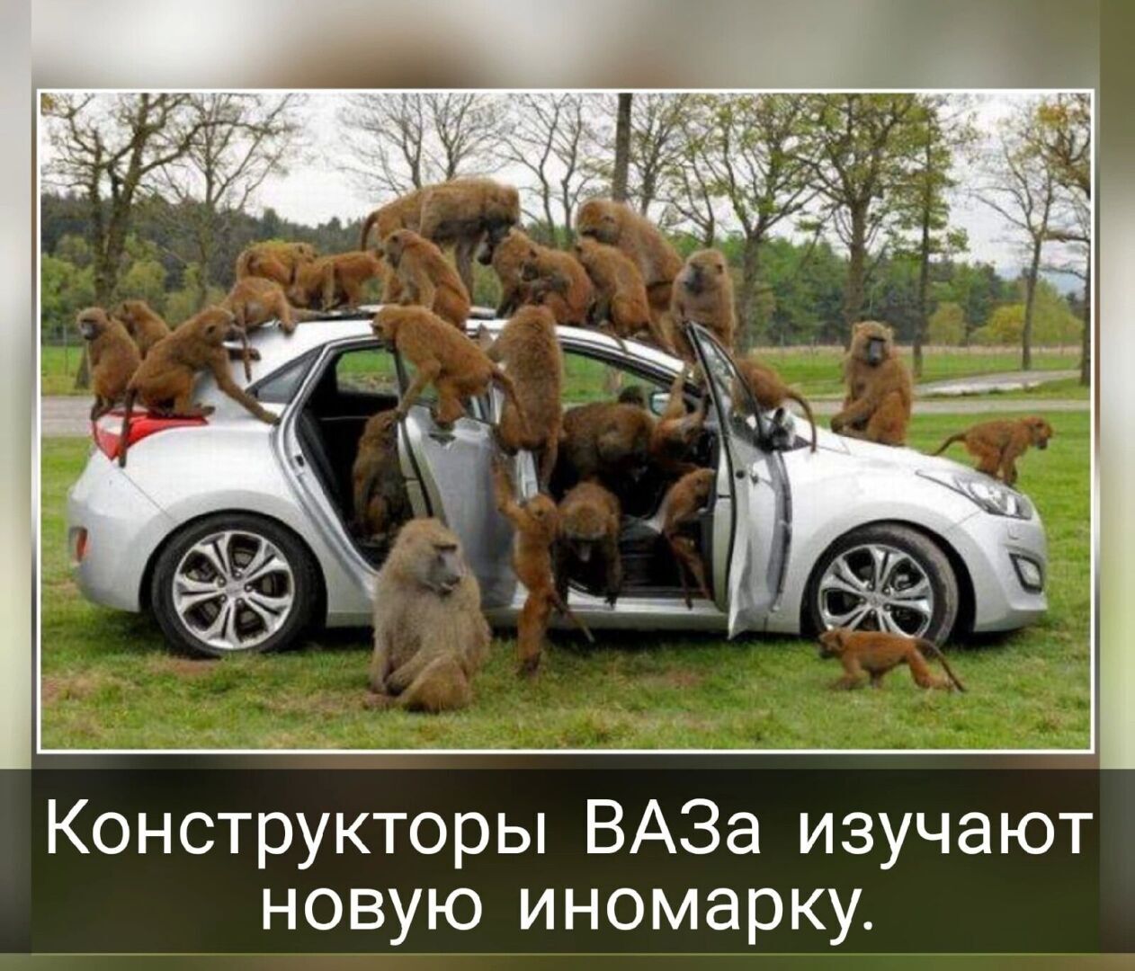 Весёлые картинки (часть 50)