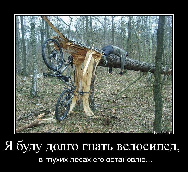 Весёлые картинки (часть 50)