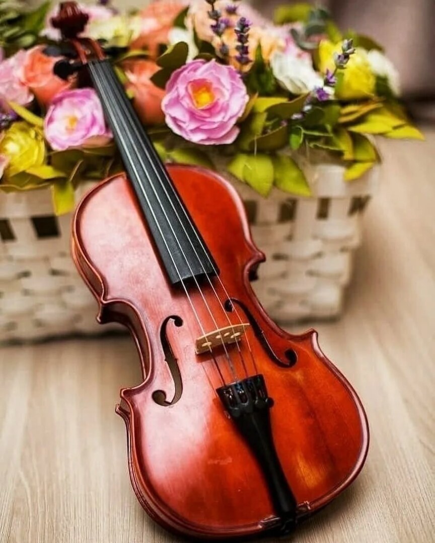 Сколько Праздников 18 мая и как лучше всего их отметить