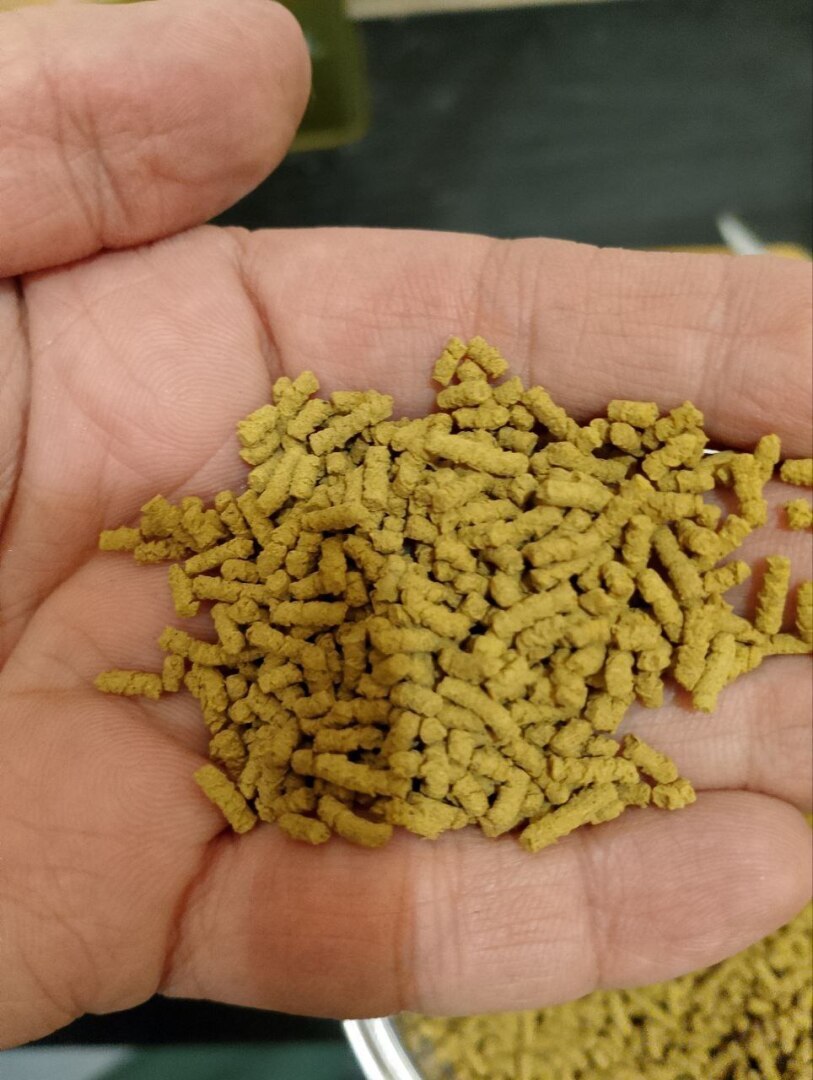 Татарский Гречишний чай! Что это за чудо чудесное?