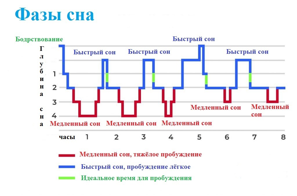 Сон – лучший косметолог и психотерапевт