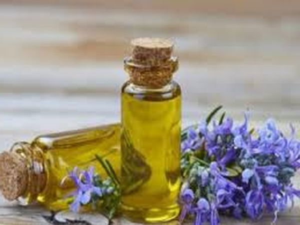 Применение эфирного масла чайного дерева - полезные свойства и рекомендации по использованию