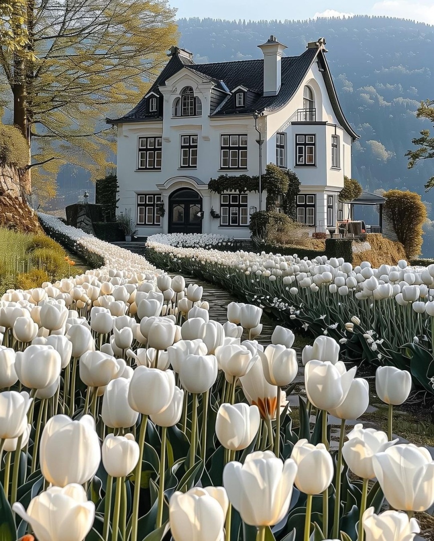 История, сказка или правда.