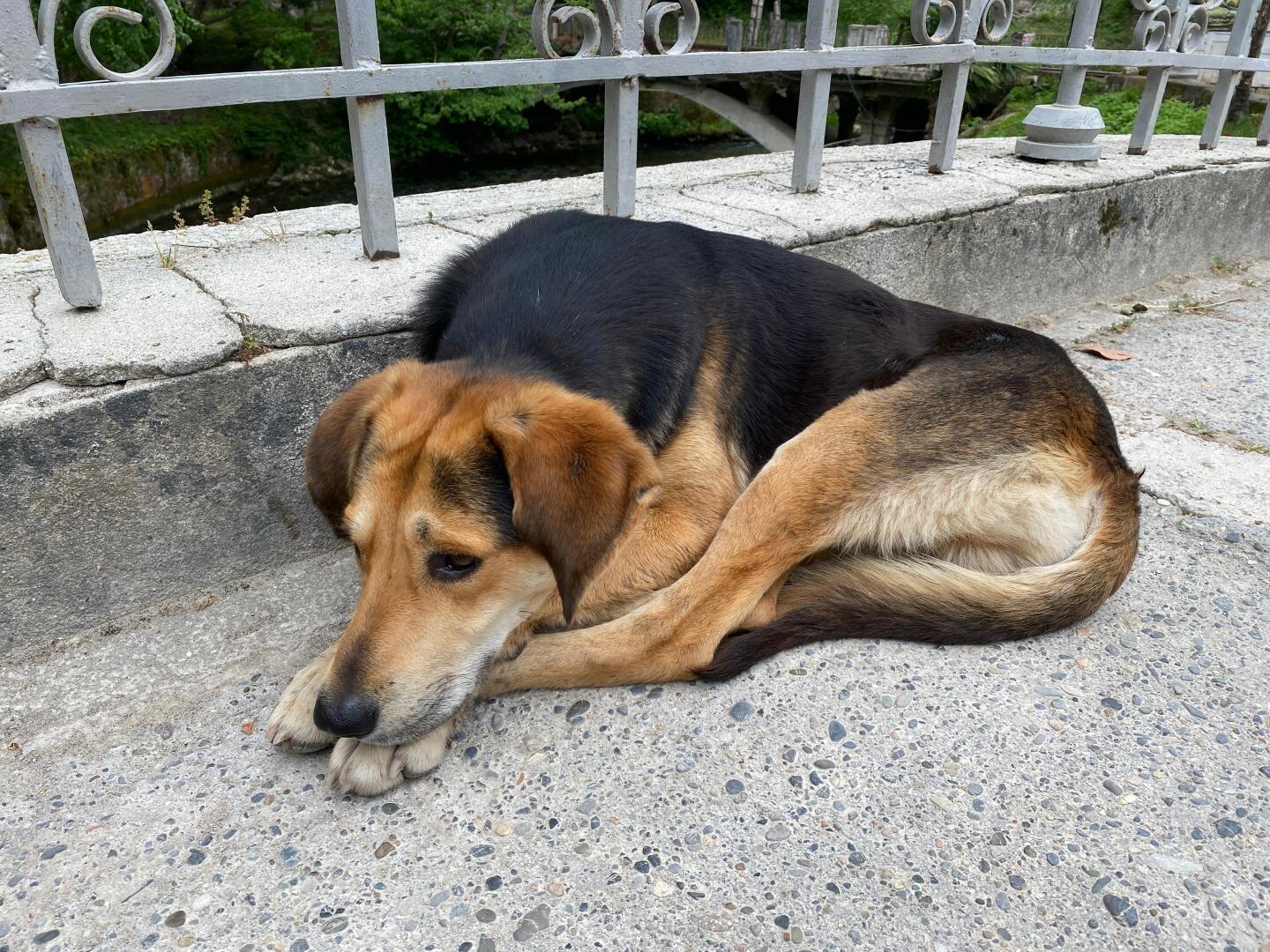 Где еще вы увидите столько достопримечательностей в одном месте
