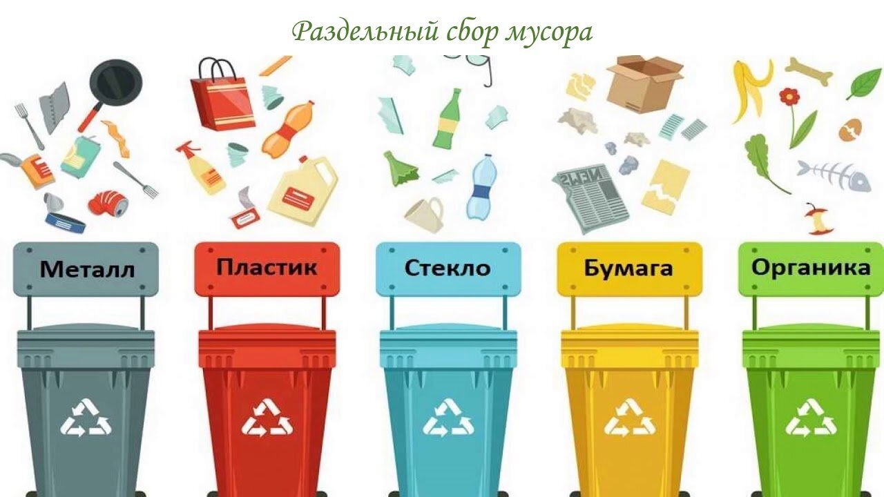 Как Вы относитесь к сортировке мусора?