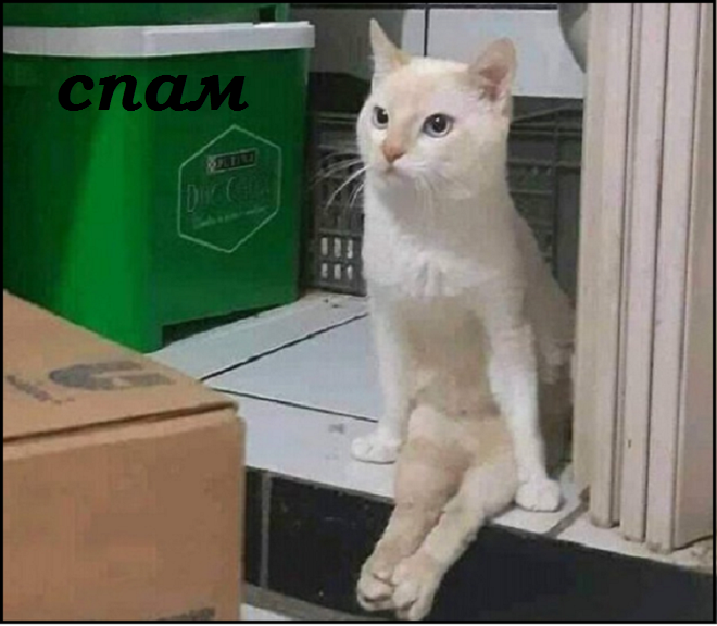 Майский Котопозитивчик - для друзей!🤗