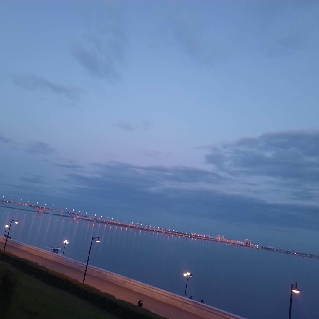 Леди и Бродяга. История одной первой любви.