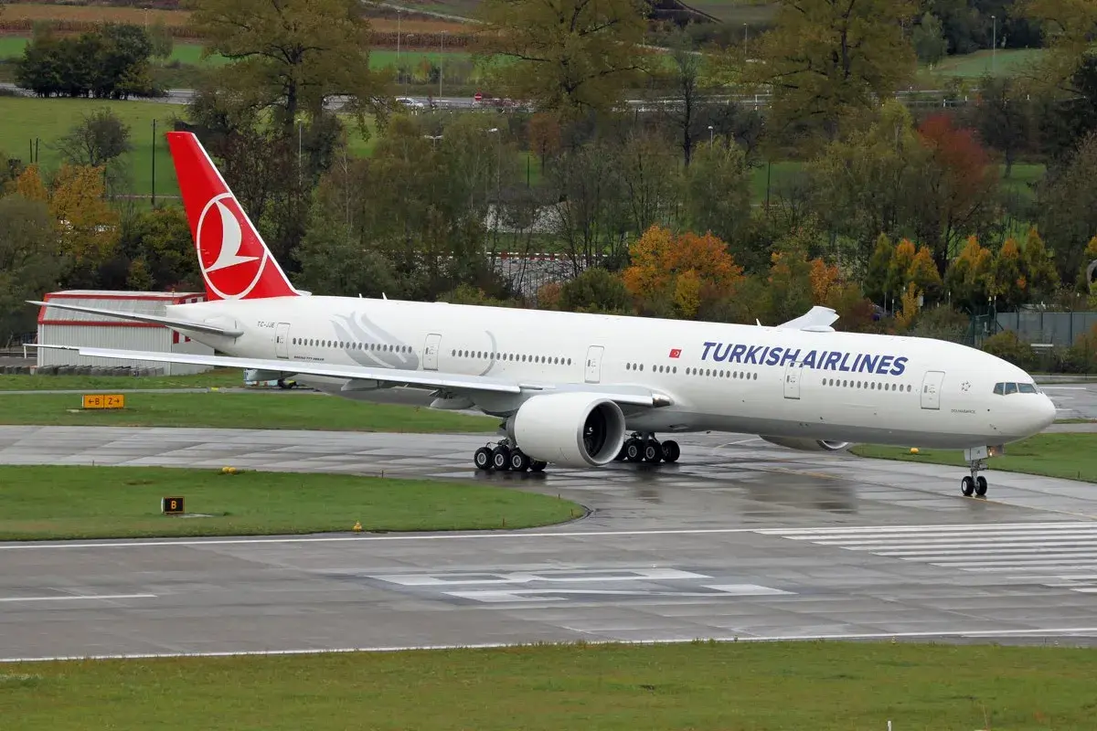 Турецкий гамбит Turkish Airlines. Пчёлы против мёда.