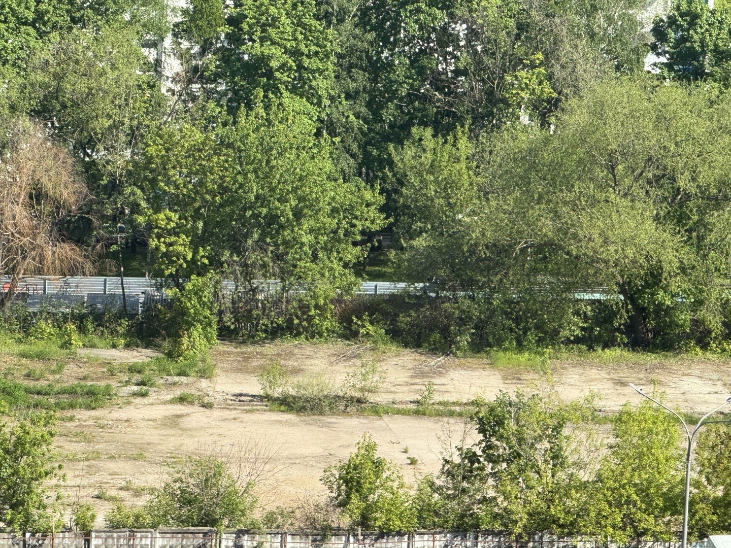 У вас потенциально опасная собака и нет намордника – готовьтесь к штрафу. Инициатива парламентариев