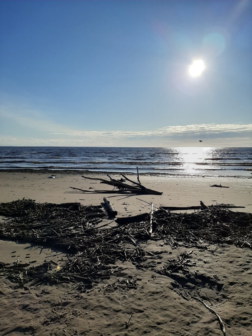 Новые арт-объекты на острове Ягры: комфорт, красота и природа рядом. Личные впечатления автора